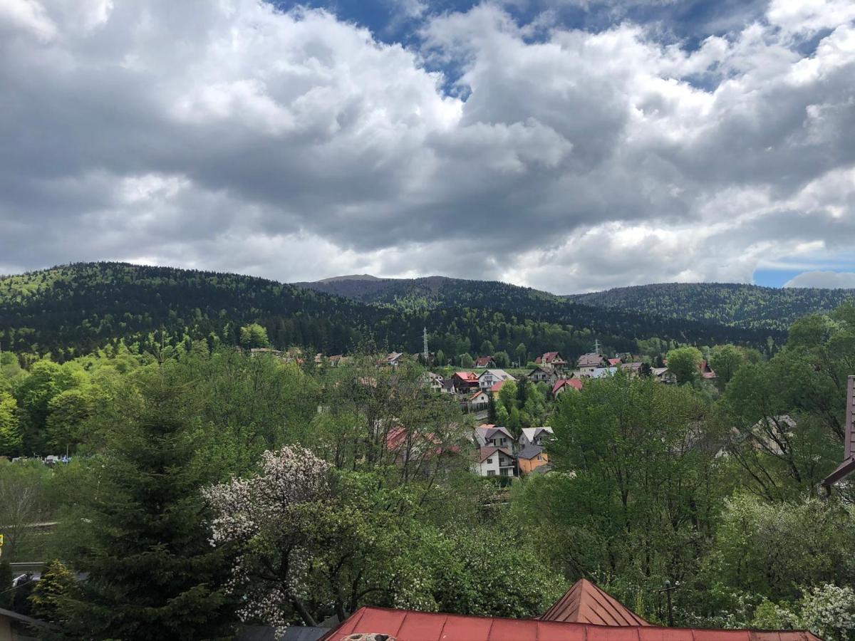 Buşteni Casa Ankeli Bed & Breakfast エクステリア 写真
