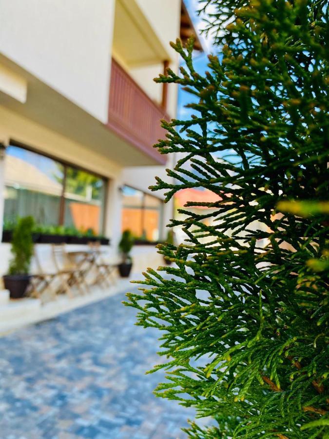 Buşteni Casa Ankeli Bed & Breakfast エクステリア 写真