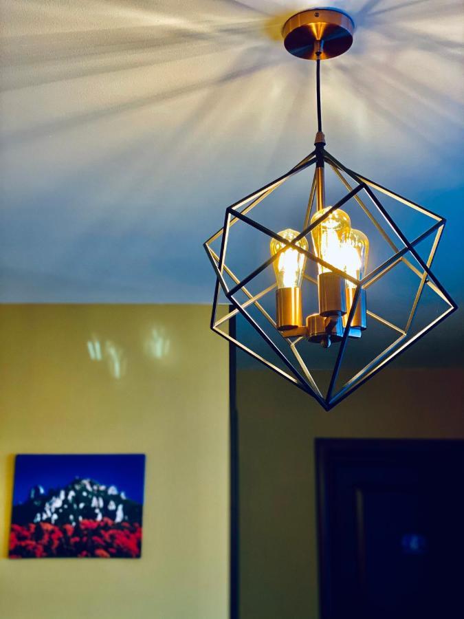 Buşteni Casa Ankeli Bed & Breakfast エクステリア 写真