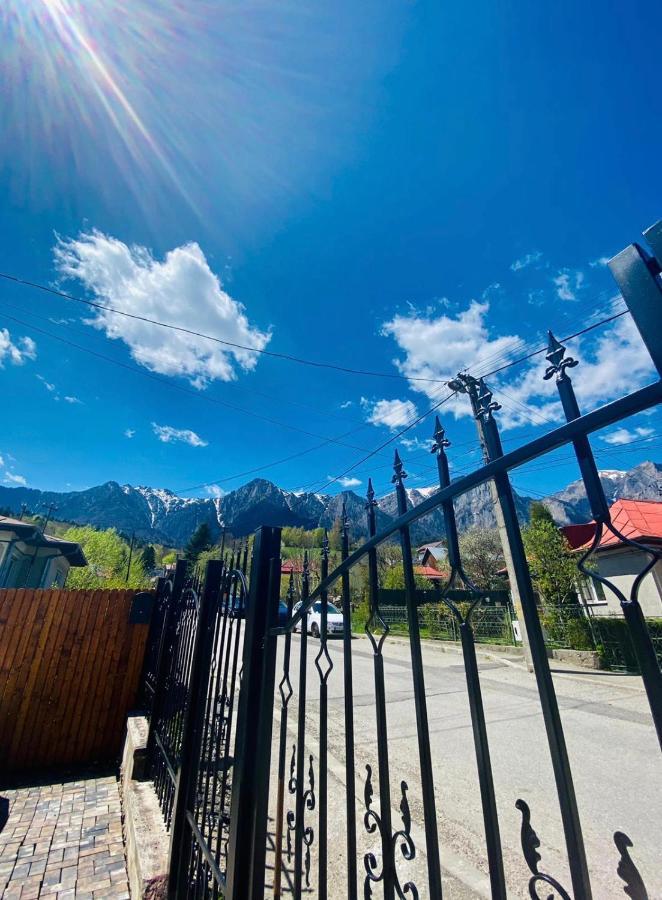 Buşteni Casa Ankeli Bed & Breakfast エクステリア 写真
