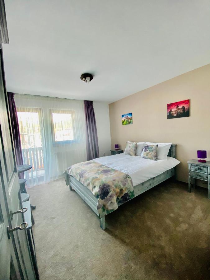 Buşteni Casa Ankeli Bed & Breakfast エクステリア 写真
