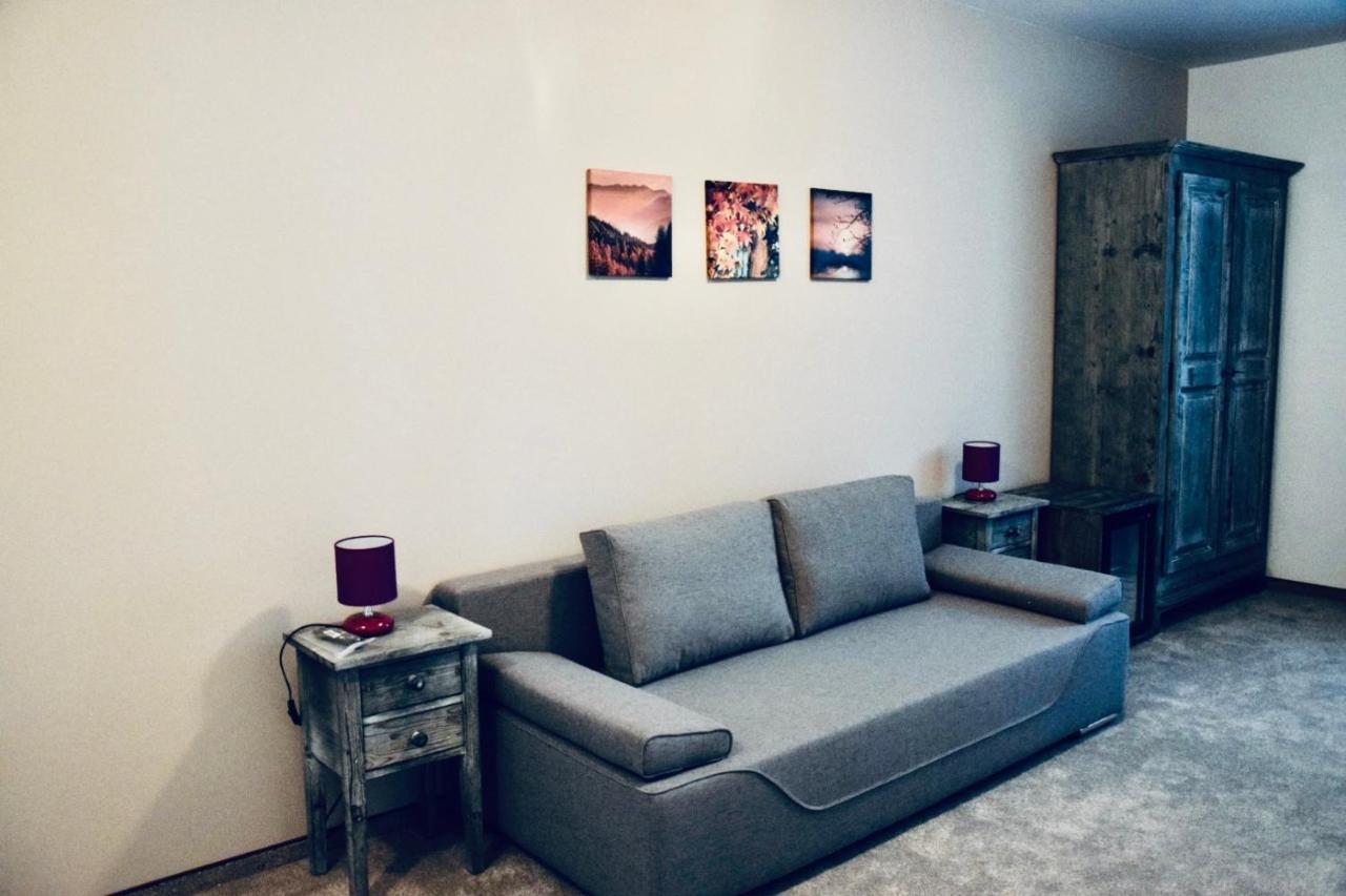 Buşteni Casa Ankeli Bed & Breakfast エクステリア 写真
